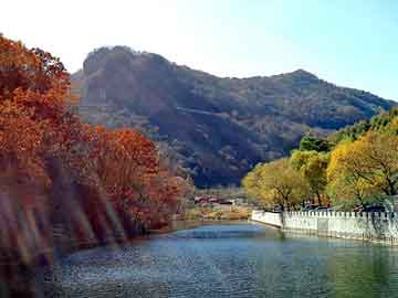 新澳天天开奖资料大全旅游团，智能手机 论坛